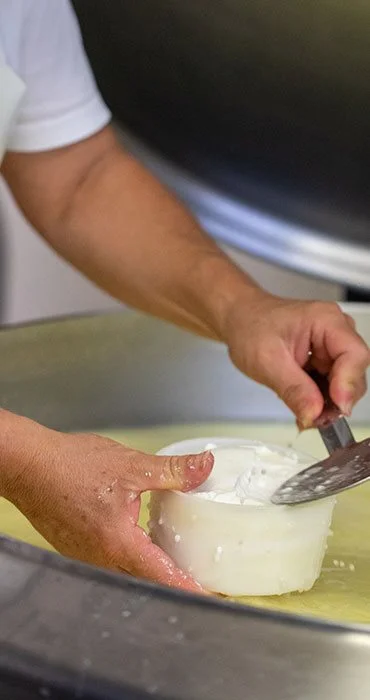 Bergers et fabricants