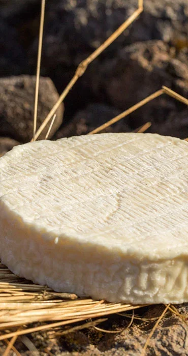 Le terroir du Pérail