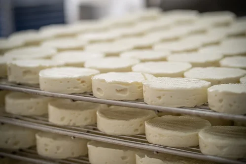 L'affinage, fromage de brebis au lait cru, IGP