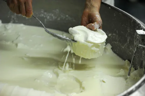 Le moulage, fromage de brebis au lait cru, IGP