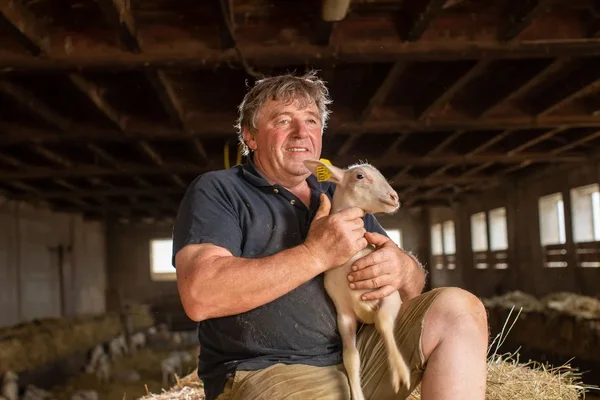 Les producteurs de lait de brebis pour la fabrication du pérail IGP