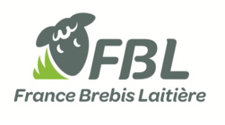 France Brebis Laitière