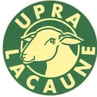 UPRA Lacaune
